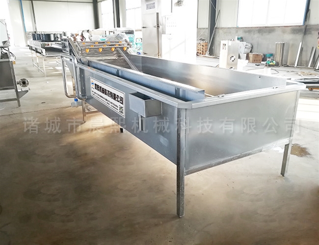 火龍果清洗機(jī)型號